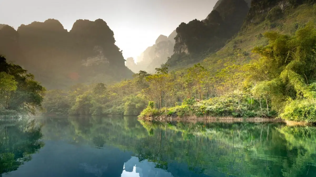 绿色高效高质量